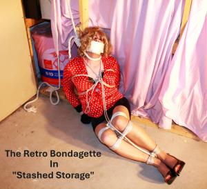 joycealexander.net - Chapter 4: "Stashed Storage" - Slideshow/Photo Set - April 10 thumbnail
