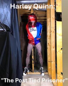 joycealexander.net - Harley Quinn: "The Post Tied Prisoner", Part I - Pics/Slideshow - July 11 thumbnail
