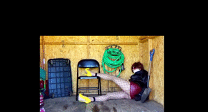 joycealexander.net - "The Stashed Starlet" - The Complete Video - June 30 thumbnail